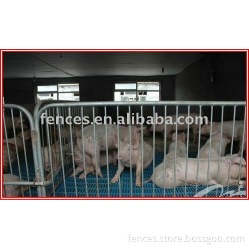 galvanized animal fence